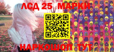 индика Владимир