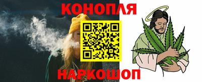 прущие грибы Владивосток