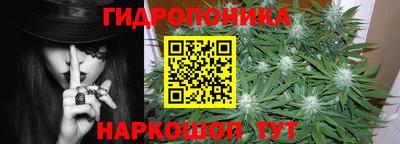 прущие грибы Владивосток