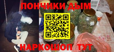 индика Владимир