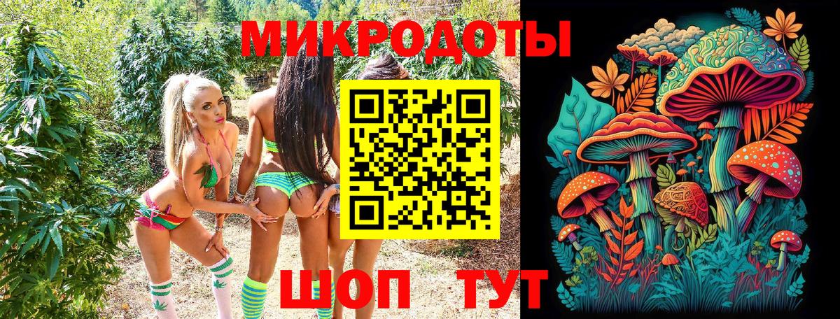 Псилоцибиновые грибы прущие грибы Асбест